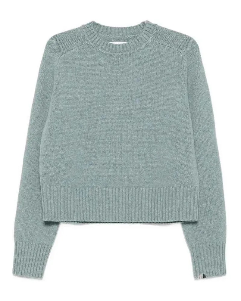 extreme cashmere Rundhalspullover - Grün Grün
