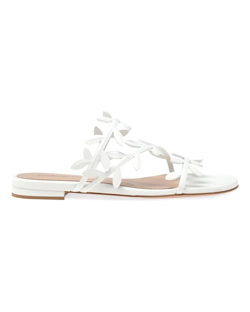 Gianvito Rossi Sandalen - Weiß Weiß