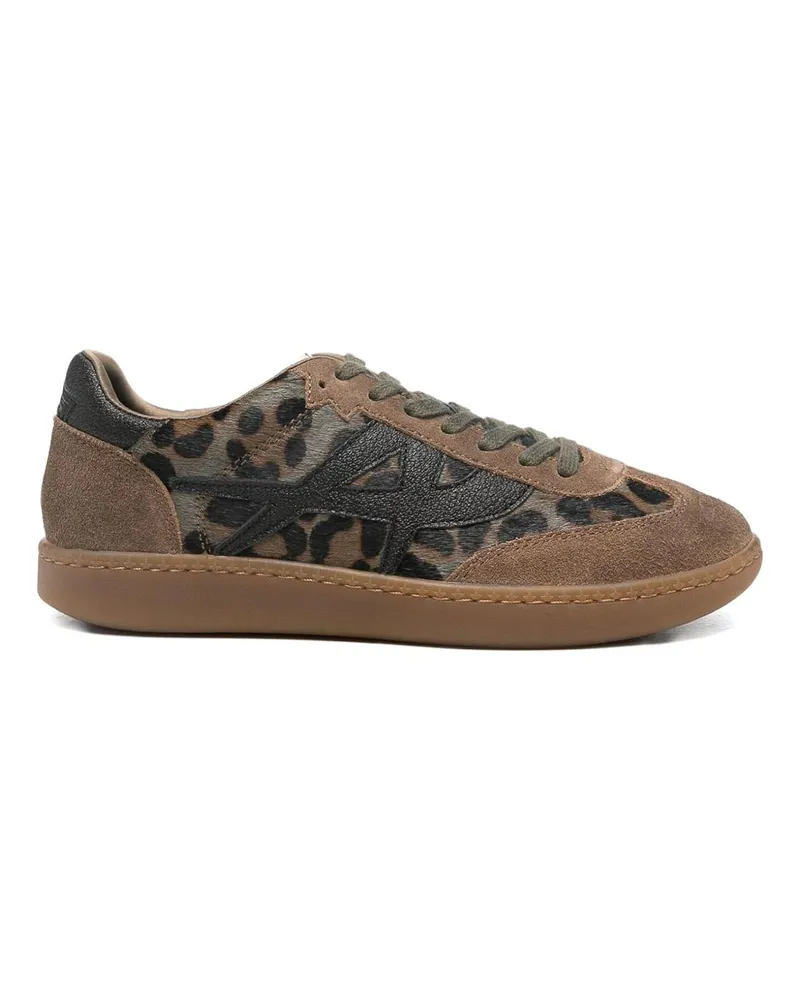 ash Sneaker - Braun Braun