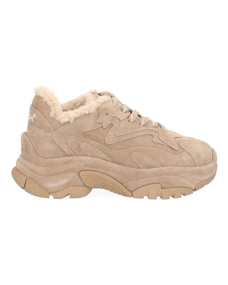 ash Sneaker - Braun Braun