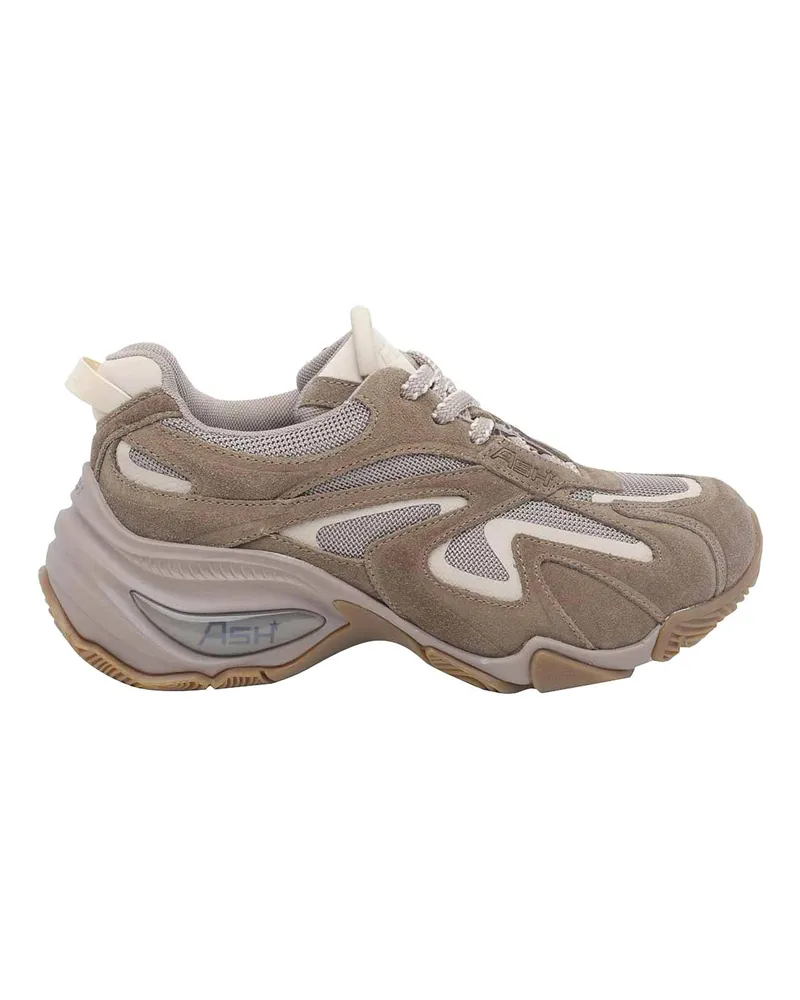 ash Sneaker - Beige Beige