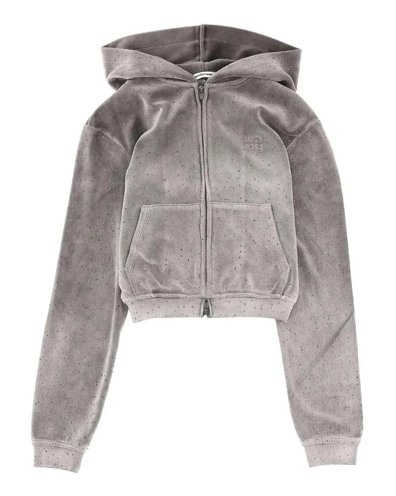 Alexander Wang Sweatshirt - Grau Grau