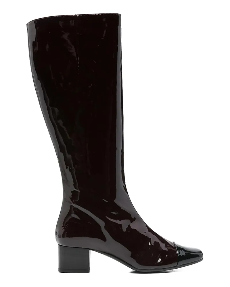 Carel Stiefeletten - Braun Braun