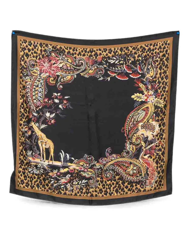 Etro Stola - Braun Braun