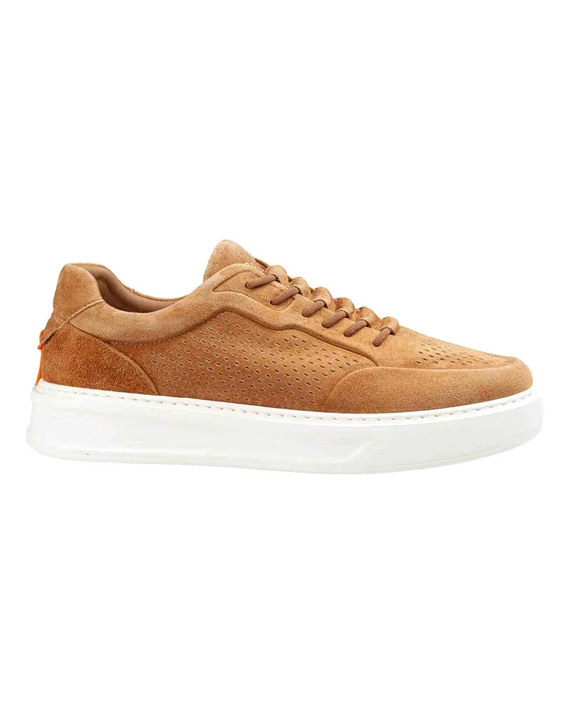 Barracuda Sneaker - Braun Braun