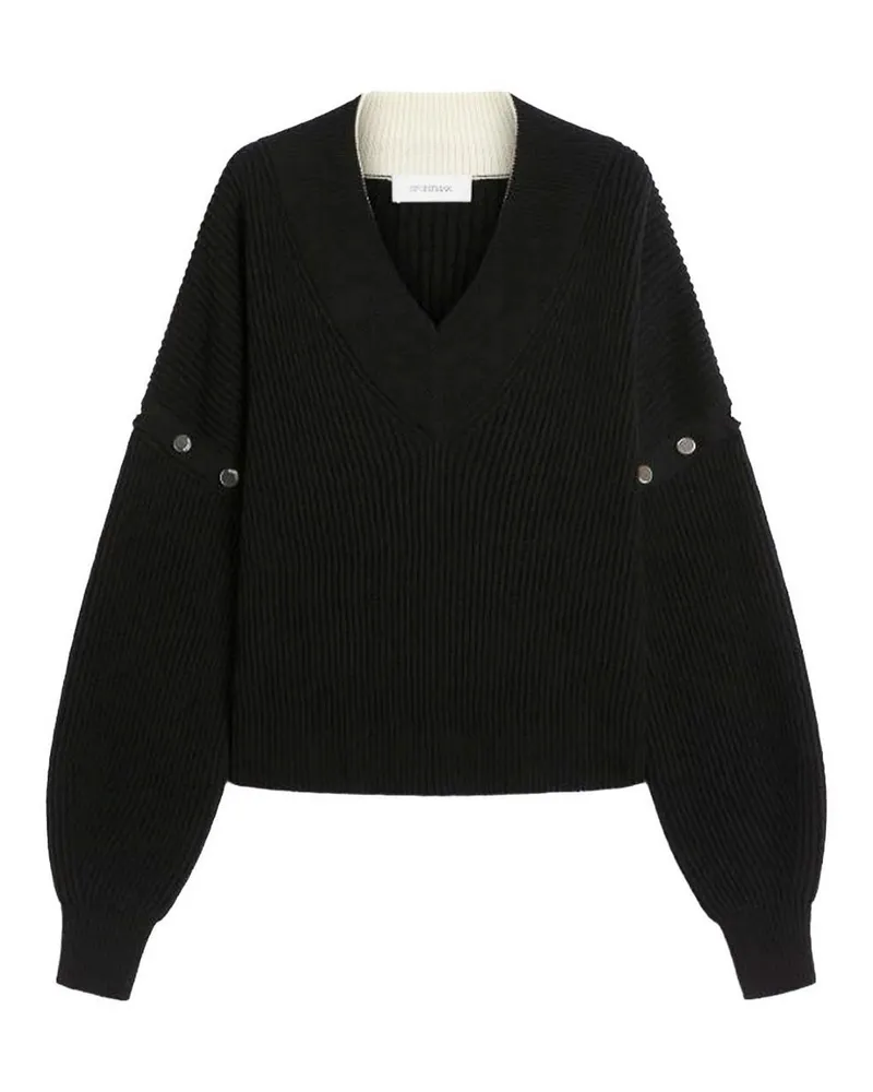 SPORTMAX V-Pullover - Schwarz Schwarz