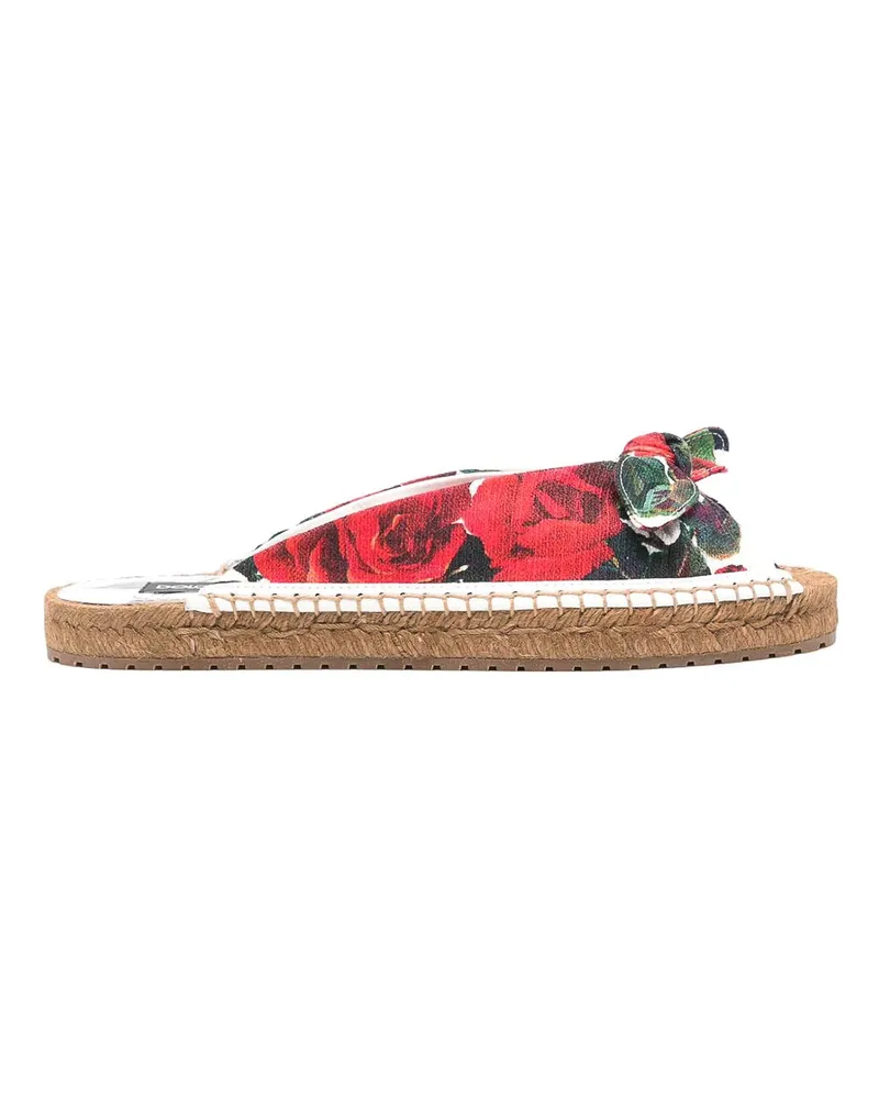 Dolce & Gabbana Sandalen - Hellrosa Hellrosa
