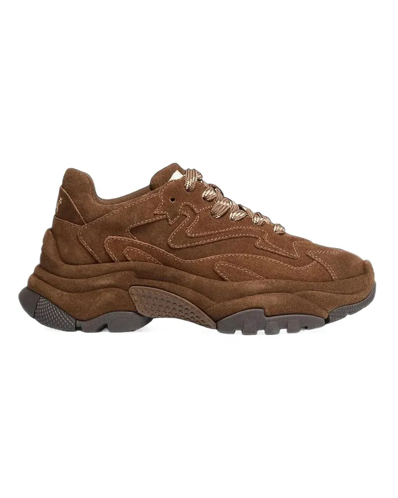 ash Sneaker - Braun Braun