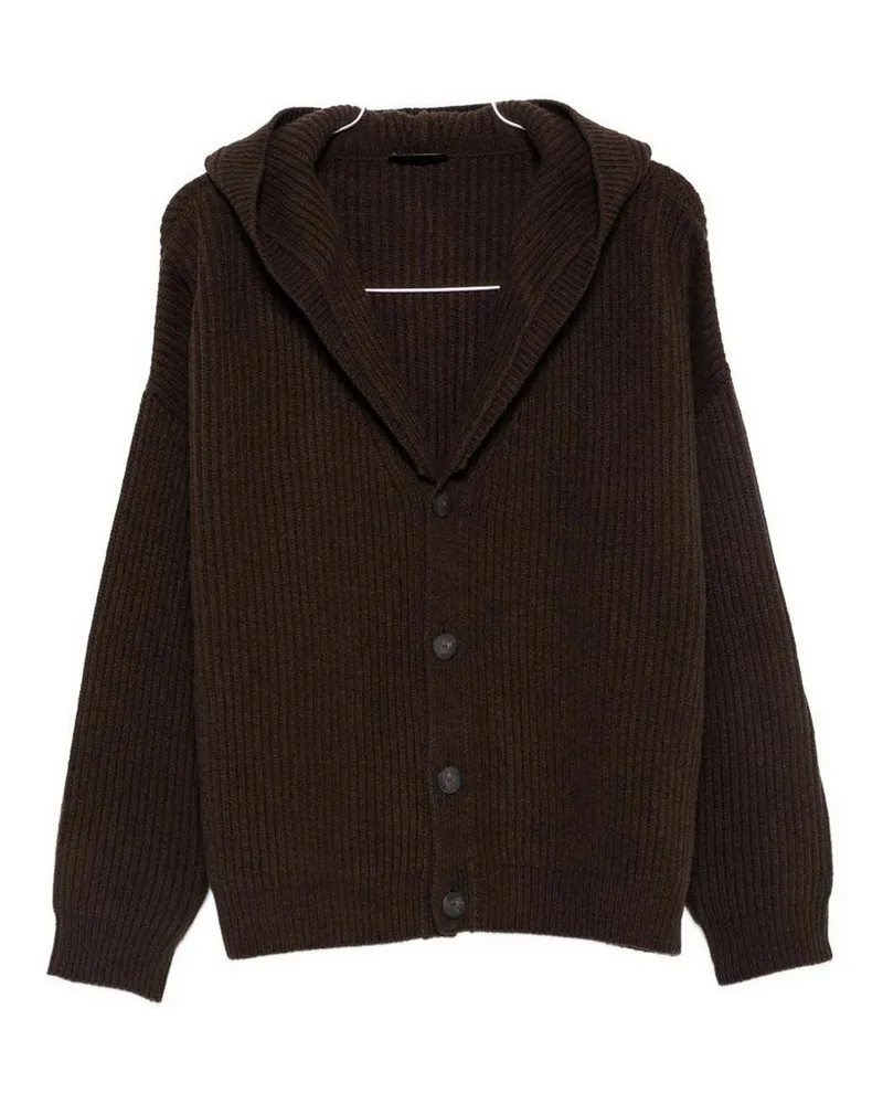 Dondup Cardigan - Braun Braun