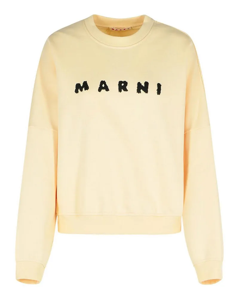 Marni Sweatshirt - Weiß Creme