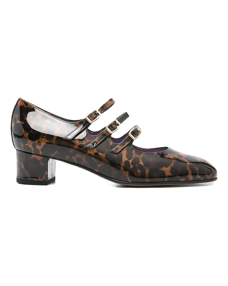 Carel Pumps - Braun Braun