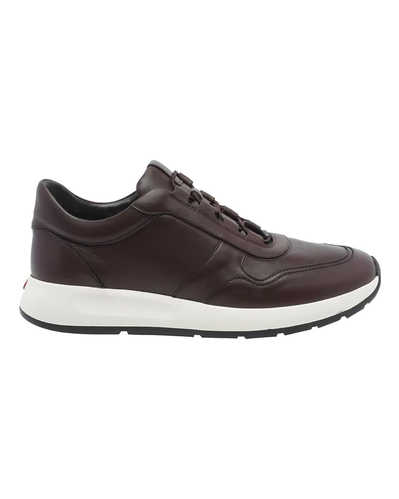 TOD'S Sneaker - Braun Braun
