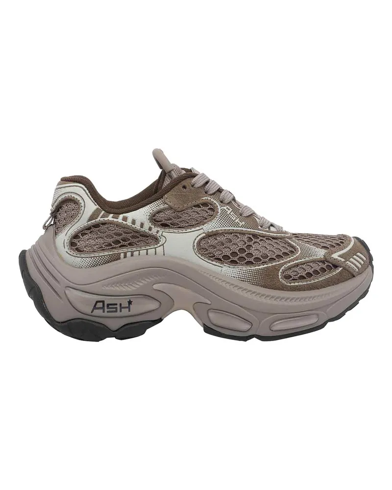 ash Sneaker - Braun Braun