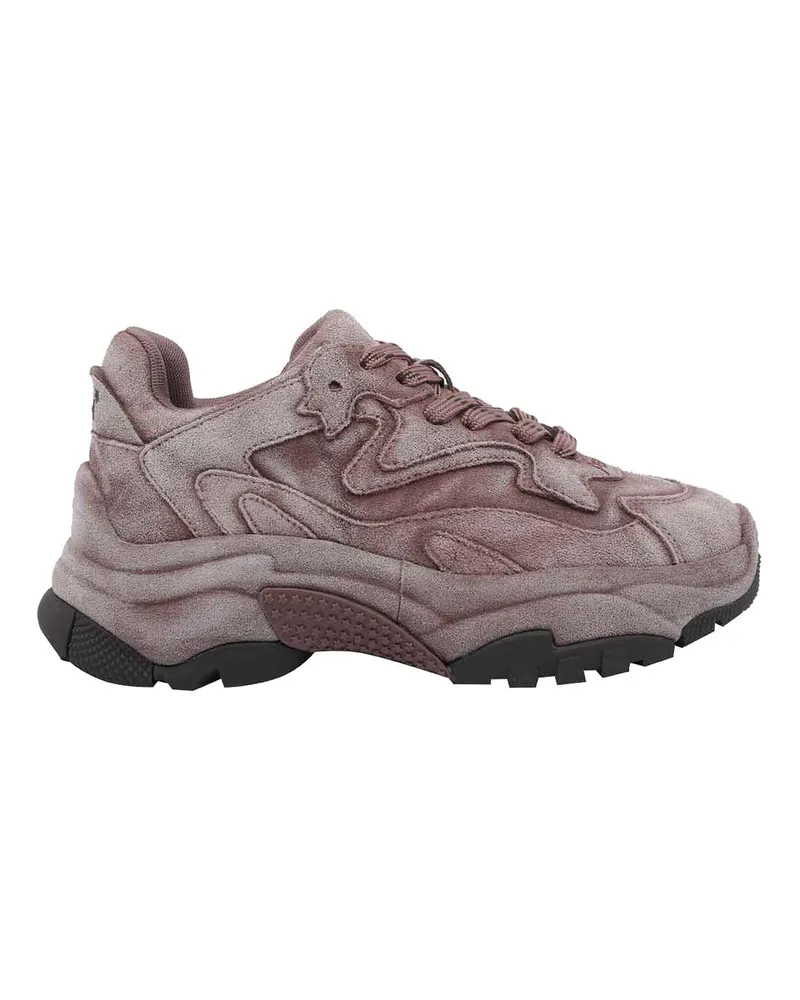 ash Sneaker - Rosa Nude