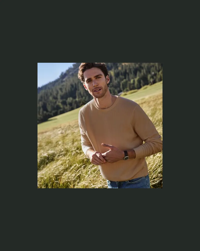 Lands' End Kaschmirpullover mit rundem Ausschnitt, Herren, Größe:48-50 tall, Braun, Kaschmir, by Braun