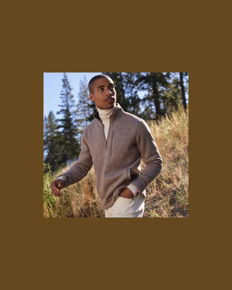 Lands' End Fleecepullover in Troyerform, Herren, Größe:52-54 regular, Beige, Polyester, by Beige
