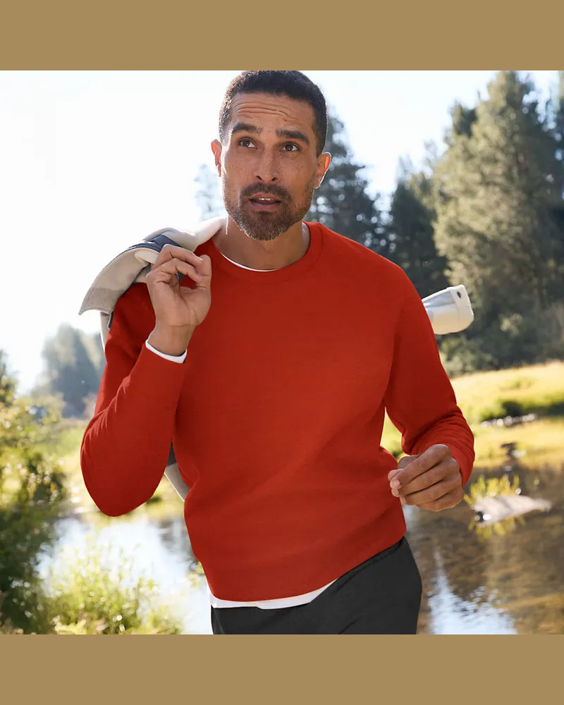 Lands' End Rundhals-Sweatshirt SERIOUS SWEATS, Herren, Größe regular, Braun, Baumwoll-Mischung/Polyester-Mischung, by Braun