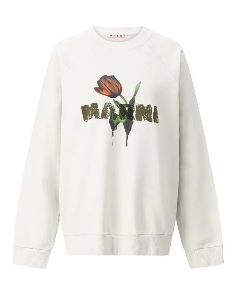 Marni Pullover mit Print Hellgrün