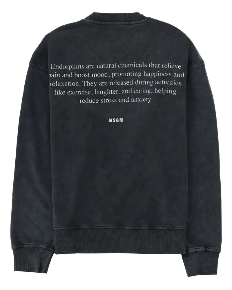 MSGM Print Cotton Sweatshirt — Charcoal Charcoal