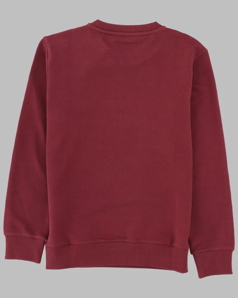 Balmain Cotton Sweatshirt — Brown Brown