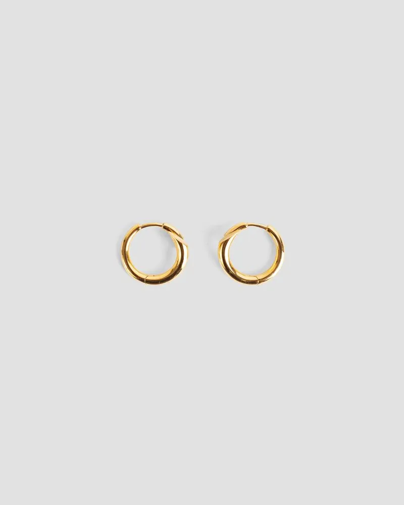 Charlotte Chesnais Earrings — Gold Gold