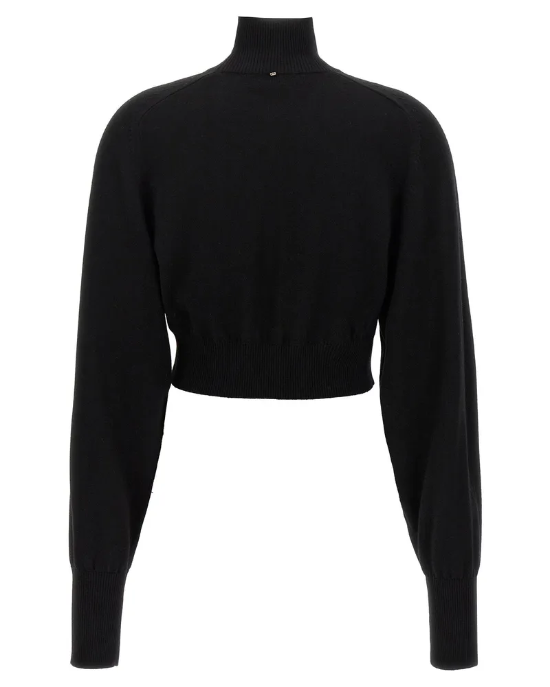 SPORTMAX Ululato Turtleneck Sweater — Black Black