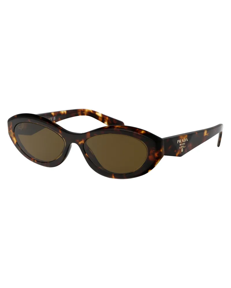 Prada Women's Sunglasses 0pr 26zs Turtle Honey Acetate Tortoiseshell