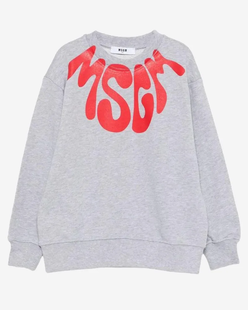 MSGM Kids' Hooded Sweatshirt Grey Cotton Hoods & Sweatshirts Gray