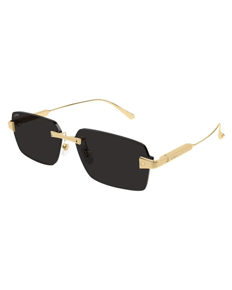 Cartier CT0652S001 Sunglasses — Black Black