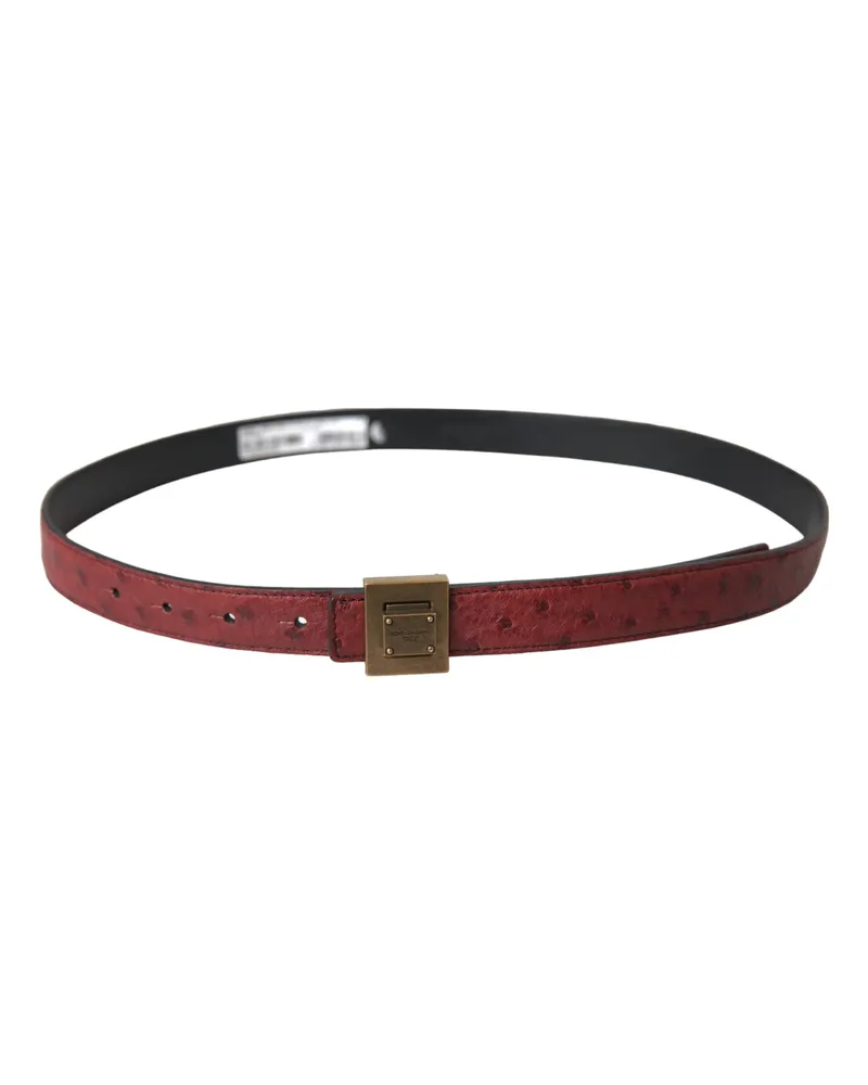 Dolce & Gabbana Women's Brown Leather Square Metal Buckle Belt Brown