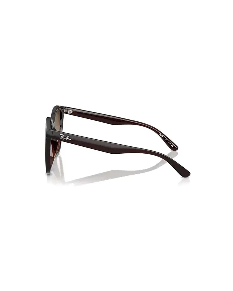 Ray Ban Unisex Sunglasses Transparent Brown Metal Eyewear Brown