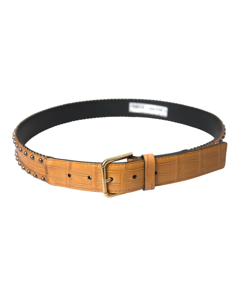 Dolce & Gabbana Alligator Leather Studded Belt — Beige Beige