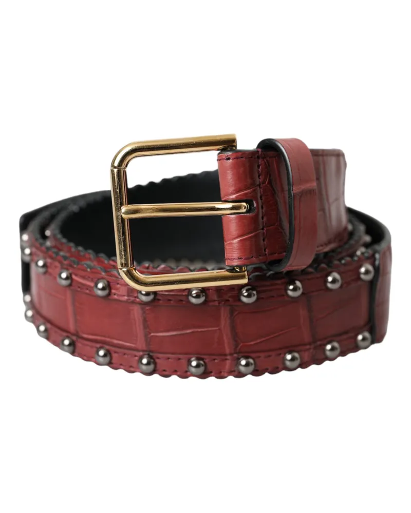 Dolce & Gabbana Alligator Leather Studded Belt — Brown Brown