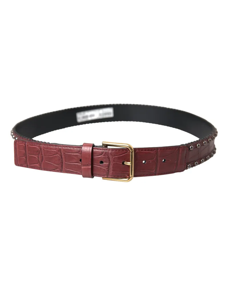 Dolce & Gabbana Women's Brown Alligator Leather Studded Metal Buckle Belt Brown