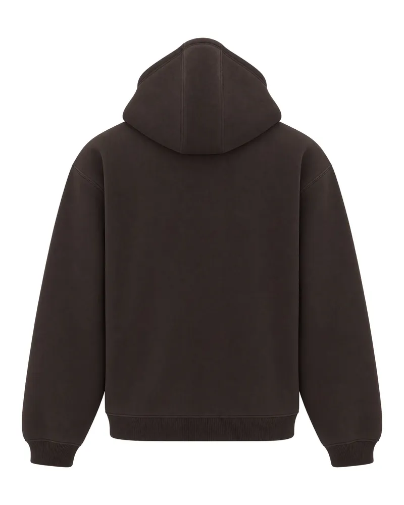 Carhartt WIP Ebbert Hoodie — Brown Brown