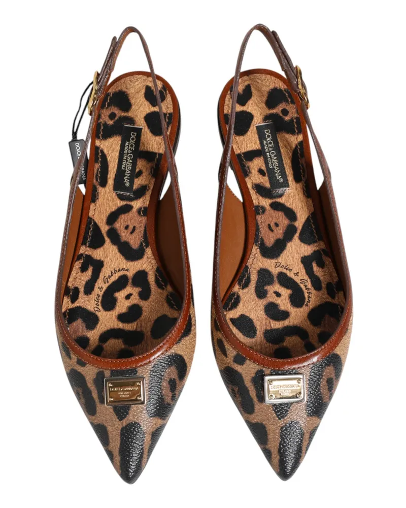 Dolce & Gabbana Women's Brown Leopard Slingback Flats Sandals Shoes Co+pl+pu+10lf Brown
