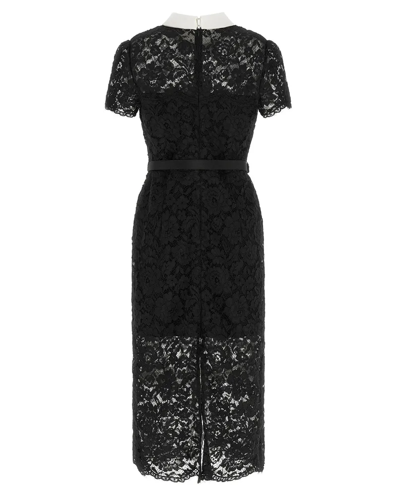 Self-Portrait Floral Lace with Contrast Collar Dress — Black Black