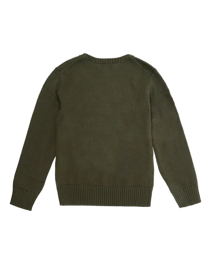 Ralph Lauren Boys' Sweater-Pullover Green Cotton Tops Top Green