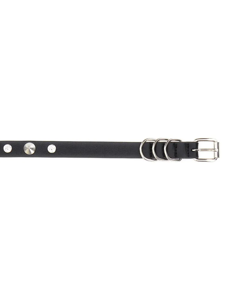 Alessandra Rich Black Belt Black