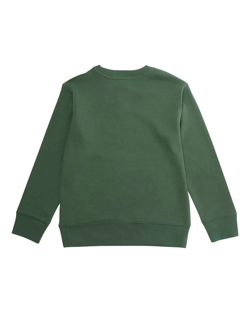 Ralph Lauren Boys Sweatshirt Pony Embroidery Green Cotton Hoods & Sweatshirts Green