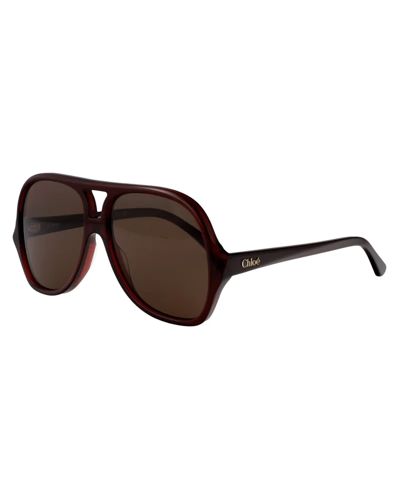 Chloé Women's Sunglasses Ch0289s Brown Acetate Brown-Brown-Brown Brown/brown/brown Brown