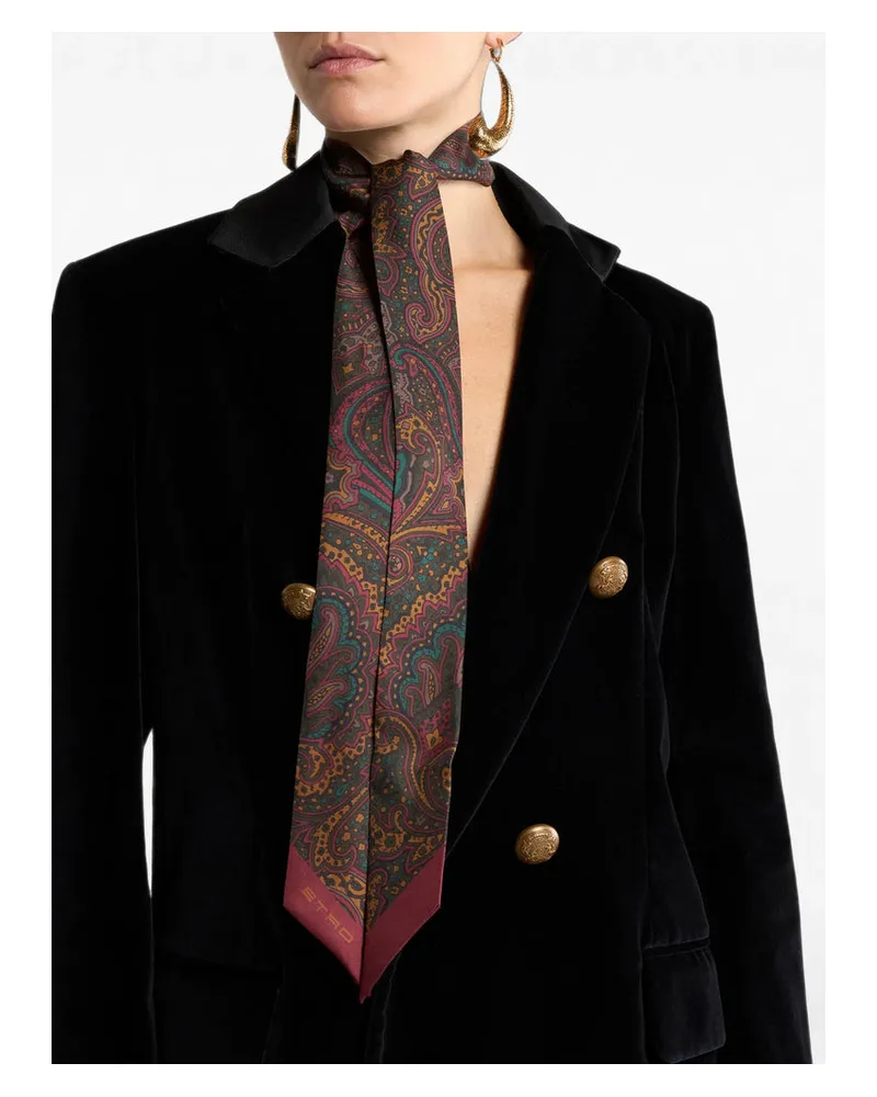 Etro Wata Scarf — Brown Brown
