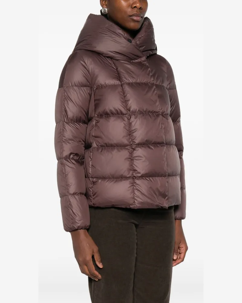 Peuterey Quilted Down Jacket — Brown Brown