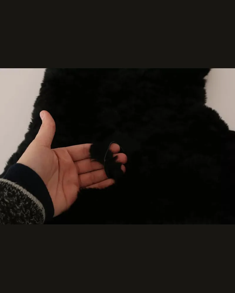 Dolce & Gabbana Women's Black Silver Fox Fur Cashmere Hooded Scarf Black