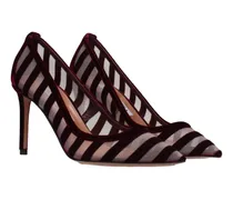 Women's Transparent Velvet Mid-Heel Pump Burgundy