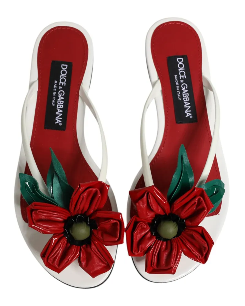 Dolce & Gabbana Women's Red White Keira Flower Leather Sandals Shoes And Calf Red