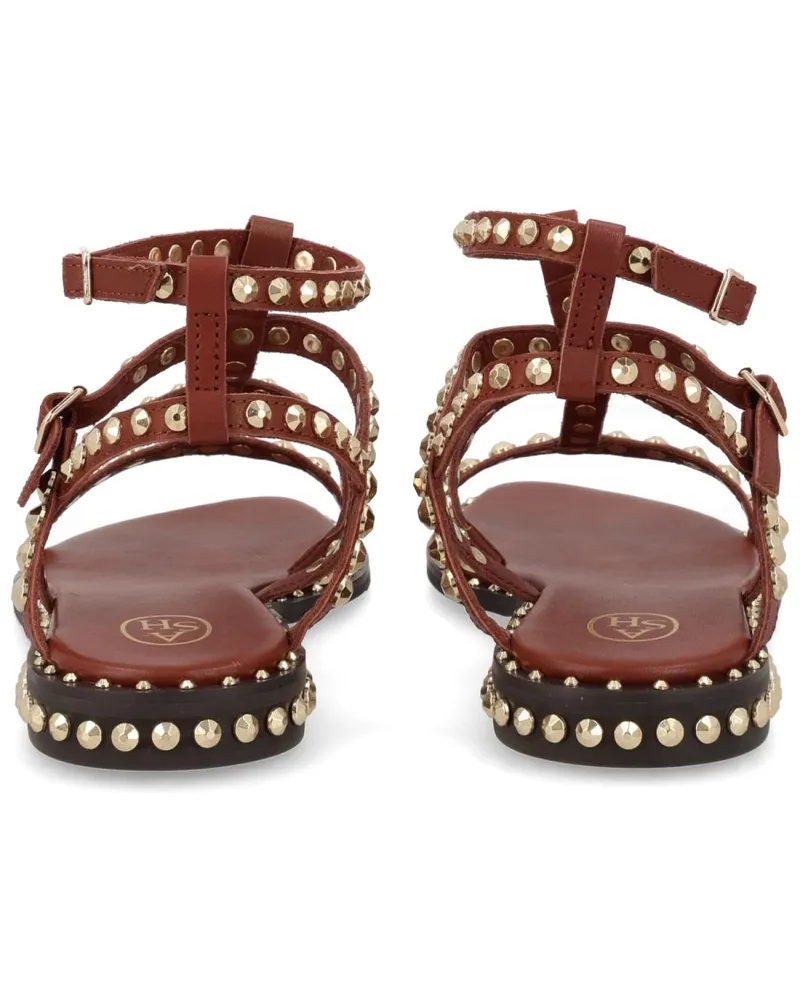 ash Sandal — Brown Brown