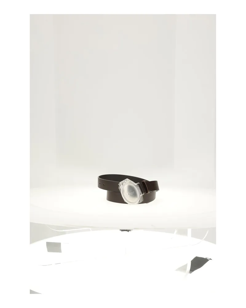 Dior Plaque Belt — Brown Brown