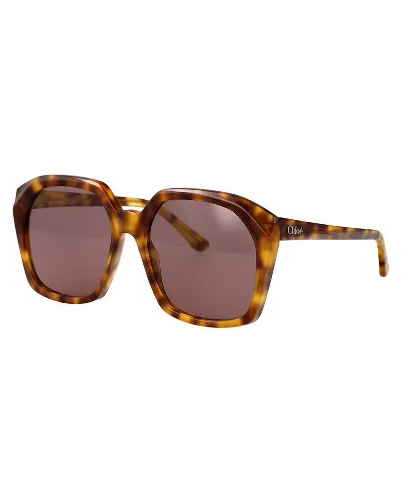 Chloé Women's Sunglasses Ch0280s Havana-Violet Acetate Havana-Havana-Violet Havana/havana/violet Brown