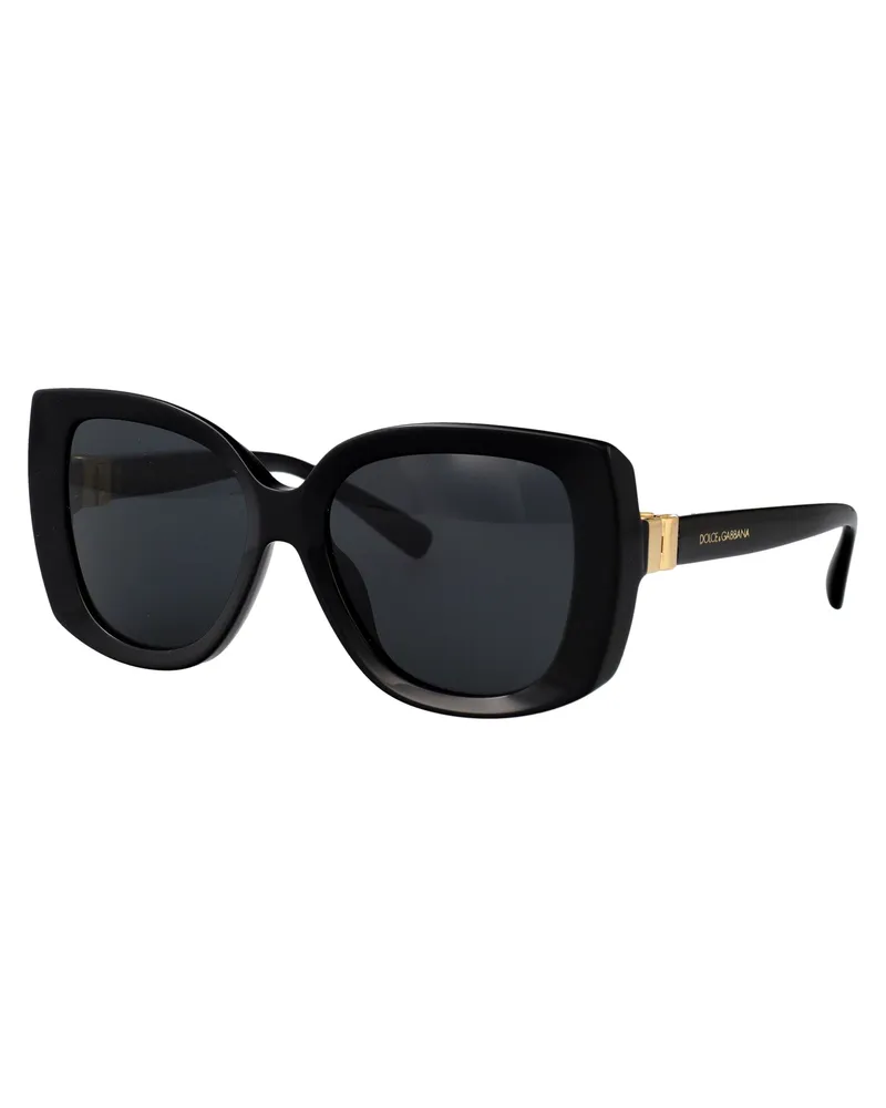 Dolce & Gabbana Women's Sunglasses 0dg4495 Black Acetate Black